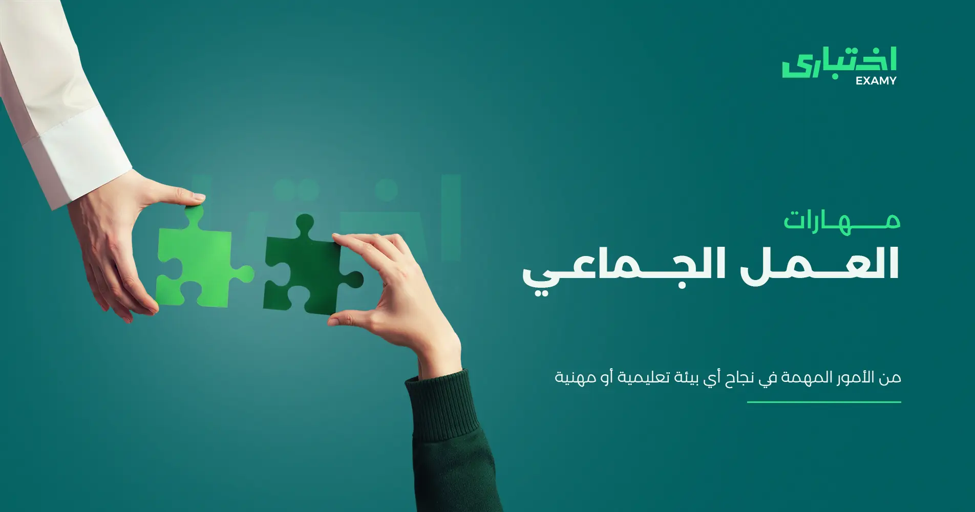 ما هي مهارات العمل الجماعي؟ وأبرز أنواعها